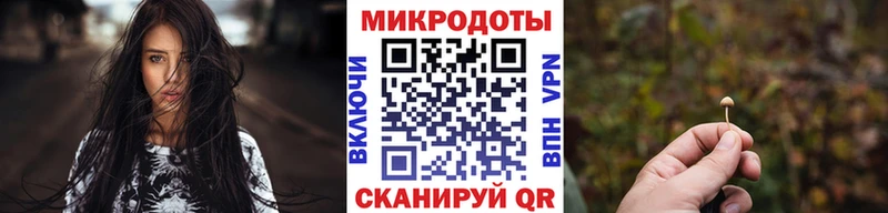 Псилоцибиновые грибы Psilocybine cubensis Ужур
