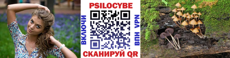 Галлюциногенные грибы Cubensis  купить наркотики сайты  Ужур 